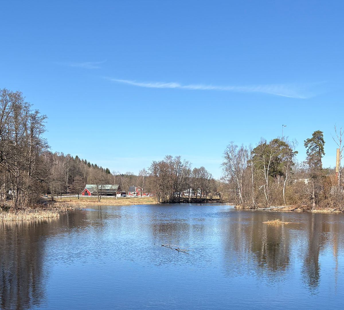 Frühling in Småland