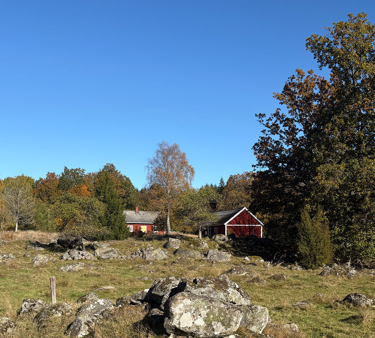 Rotes Schwedenhaus in herbstlicher Wiesenlandschaft mit Findlingen, Småland