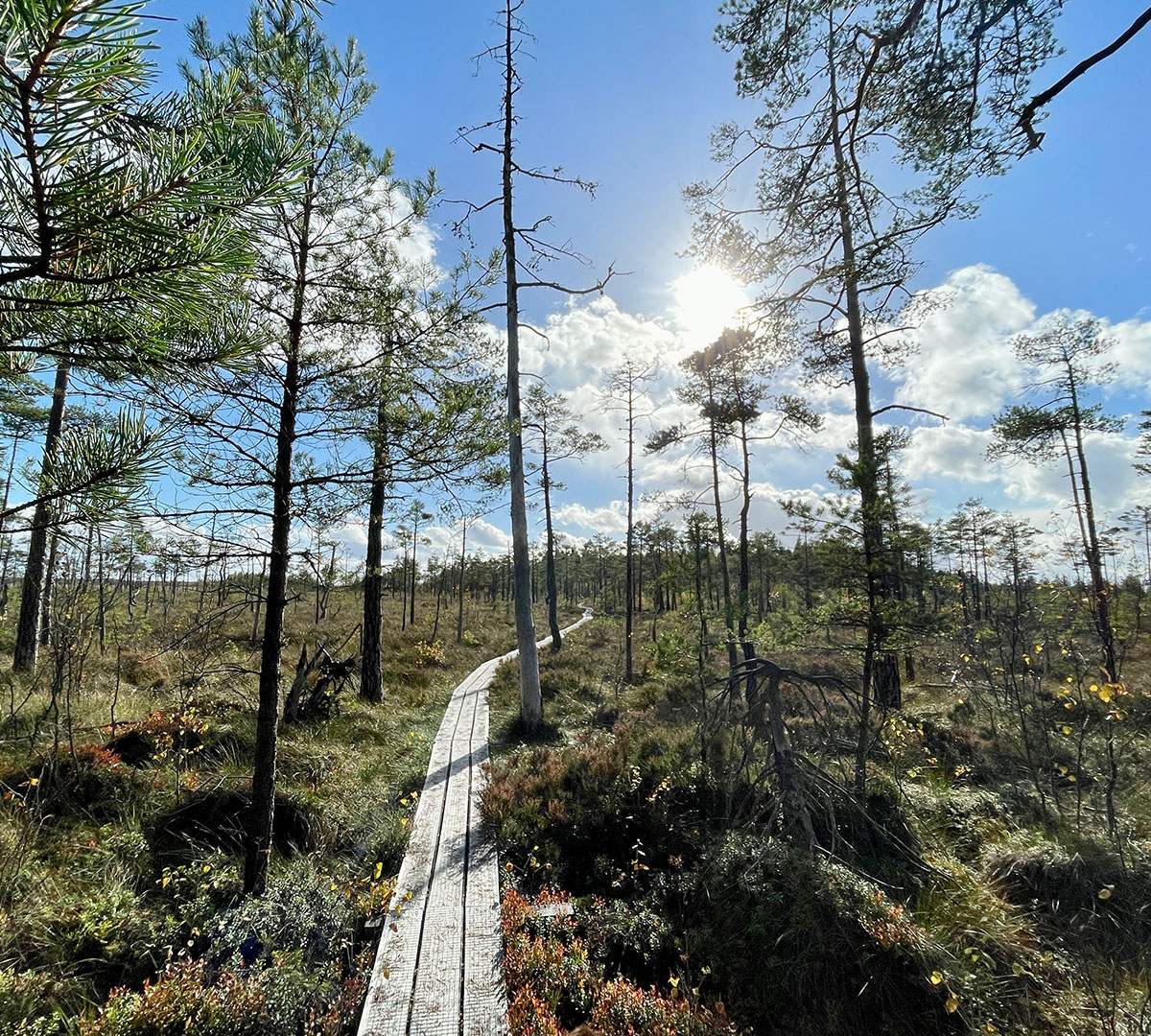 Wandern in Småland